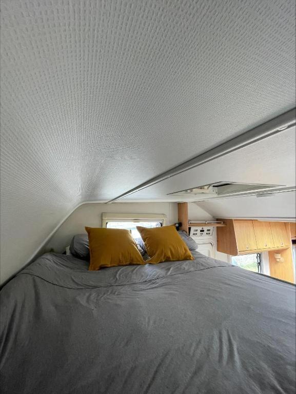 The Cosy Camper At Rockfield Park Hotel Galway Exterior photo